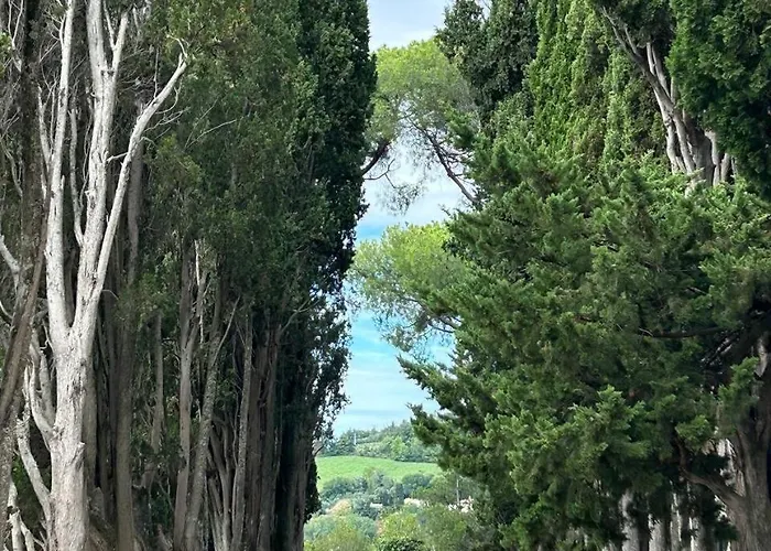 Affittacamere Baratoff Pesaro